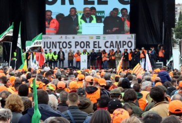 La RFEC se concentrará frente al MITECO el 21 de abril en defensa de la codorniz