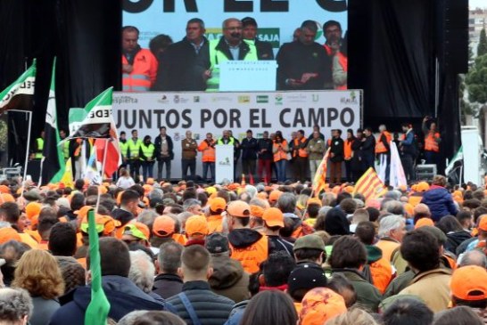 La RFEC se concentrará frente al MITECO el 21 de abril en defensa de la codorniz