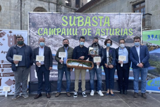 SUBASTA DEL CAMPANU DE ASTURIAS