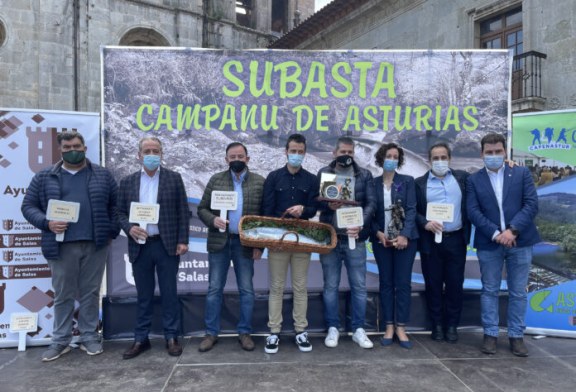 SUBASTA DEL CAMPANU DE ASTURIAS