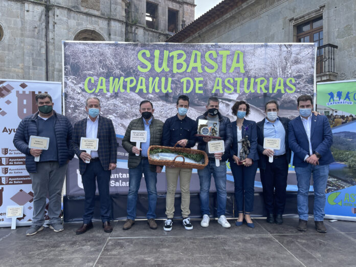 SUBASTA DEL CAMPANU DE ASTURIAS