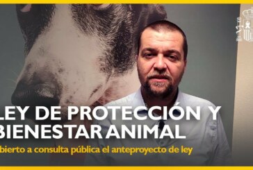 Artemisan presenta alegaciones a la Ley de Bienestar Animal y pide su retirada