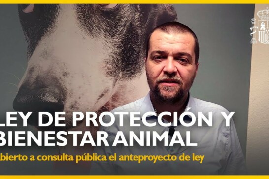 Artemisan presenta alegaciones a la Ley de Bienestar Animal y pide su retirada