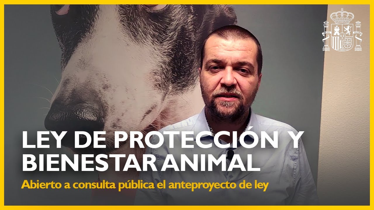 Artemisan presenta alegaciones a la Ley de Bienestar Animal y pide su retirada