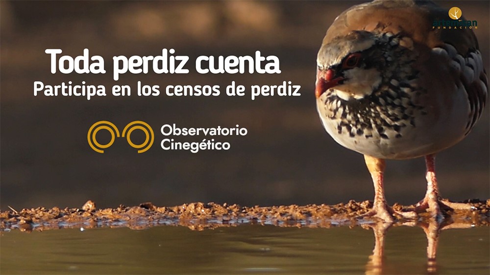 Artemisan anima a los cazadores a participar en la campaña ‘Toda perdiz cuenta’