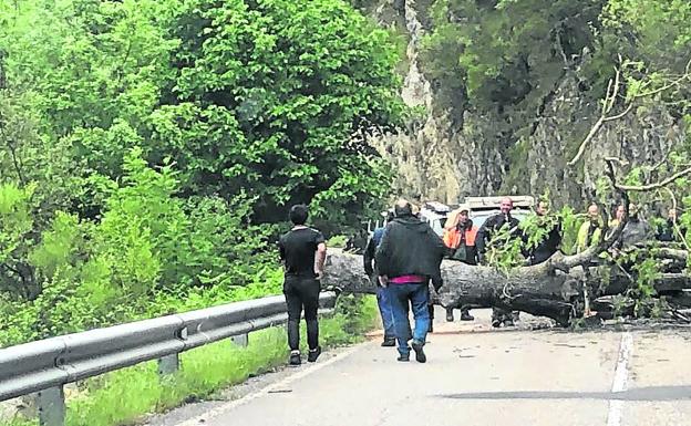 La Rioja. Las protestas contra el lobo dan un salto con cortes de carreteras