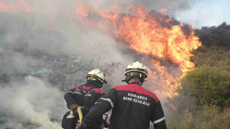 Suspendido el Día de la Caza en Navarra