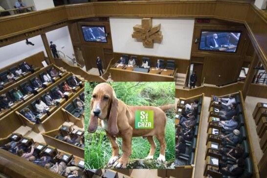Se aprueba en el Parlamento Vasco la Ley de protección de animales de compañía
