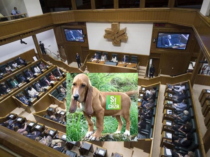 Se aprueba en el Parlamento Vasco la Ley de protección de animales de compañía