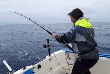 Bonito y el txipiron se convierten durante los meses estivales en los reyes de la pesca