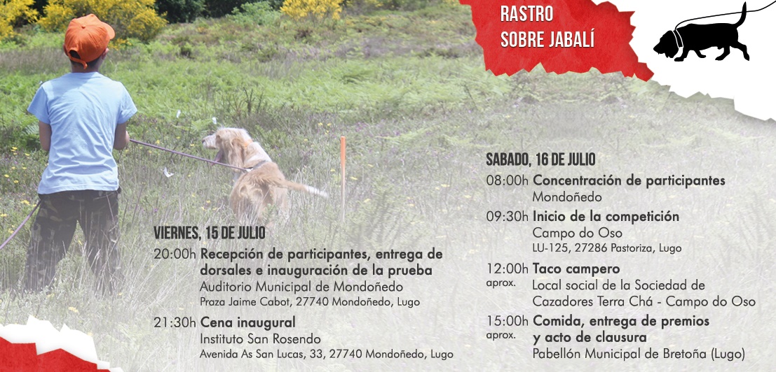 Mondoñedo acoge el XXIX Campeonato de España de Perros de Rastro sobre Jabalí