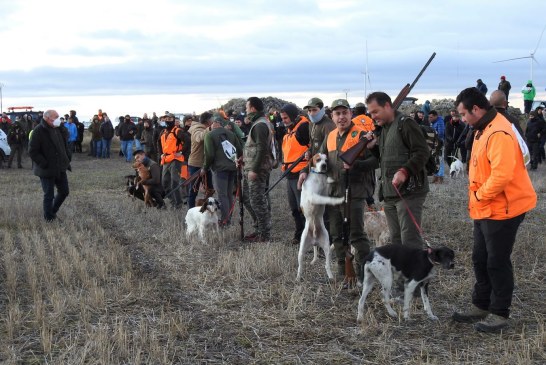 El deporte español rechaza la Ley de Derechos de los Animales y exige la exclusión de las federaciones con animales