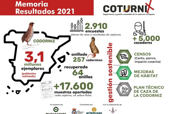 La codorniz en España mantiene un estado de conservación favorable con 3,1 millones de ejemplares