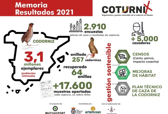 La codorniz en España mantiene un estado de conservación favorable con 3,1 millones de ejemplares