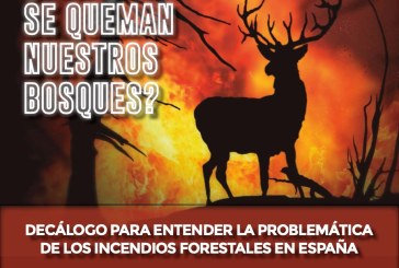 Fundación Artemisan explica en diez puntos por qué se están quemando los bosques españoles