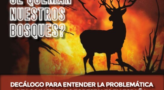 Fundación Artemisan explica en diez puntos por qué se están quemando los bosques españoles