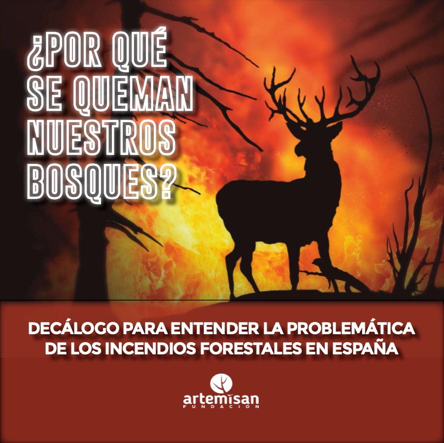 Fundación Artemisan explica en diez puntos por qué se están quemando los bosques españoles