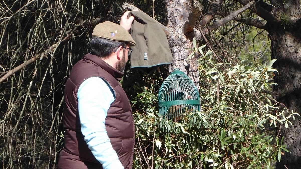 La caza se movilizará si la Ley de Bienestar Animal Estatal es aprobada