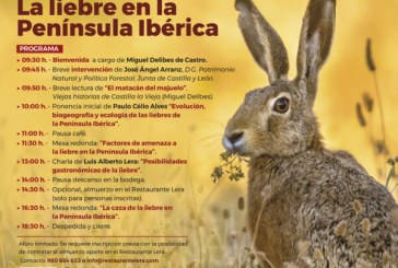 La Fundación Miguel Delibes organiza en Castroverde de Campos (Zamora) la “V Jornada de Caza, Pesca y Naturaleza. La liebre en la Península Ibérica”