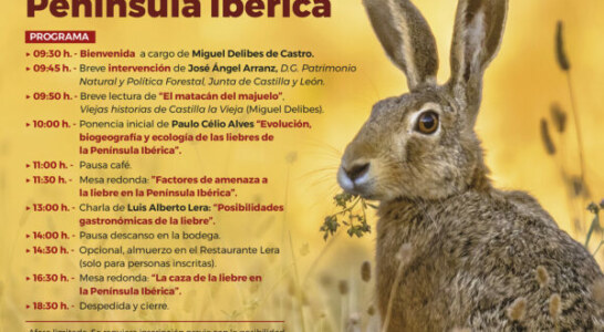 La Fundación Miguel Delibes organiza en Castroverde de Campos (Zamora) la “V Jornada de Caza, Pesca y Naturaleza. La liebre en la Península Ibérica”