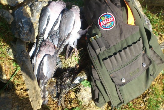 La expectación marca la espera de las torcaces y otras aves migratorias