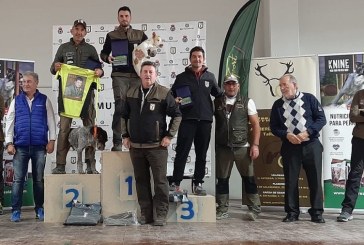 Plenas coronará al nuevo campeón de España de Caza Menor con Perro