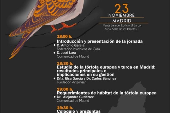 Madrid acogerá mañana una Jornada Divulgativa sobre Tórtolas