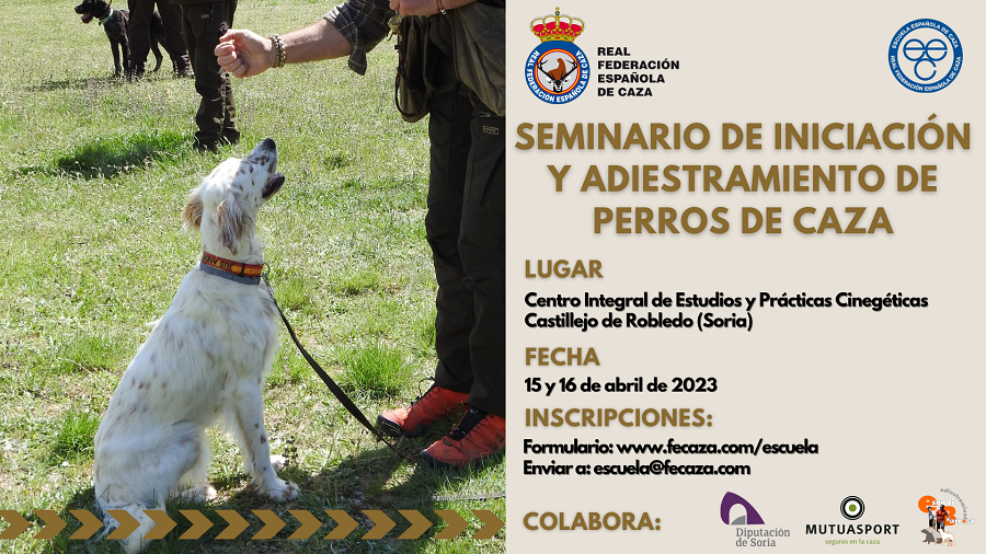 La Escuela de Caza de la RFEC organiza un seminario de iniciación y adiestramiento de perros de caza