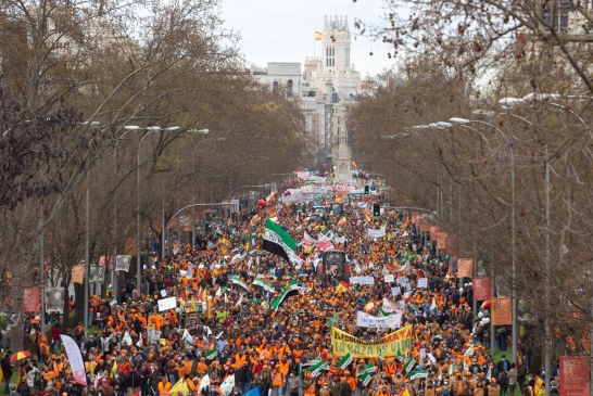 La RFEC apoyará y secundará las manifestaciones de Pamplona y Valencia en defensa de la caza