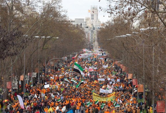 La RFEC apoyará y secundará las manifestaciones de Pamplona y Valencia en defensa de la caza