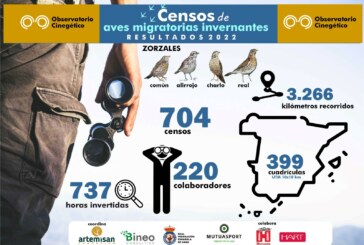Los censos del Observatorio Cinegético de aves migratorias invernantes aumentan más de un 40 %