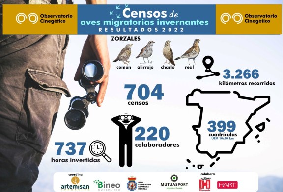 Los censos del Observatorio Cinegético de aves migratorias invernantes aumentan más de un 40 %