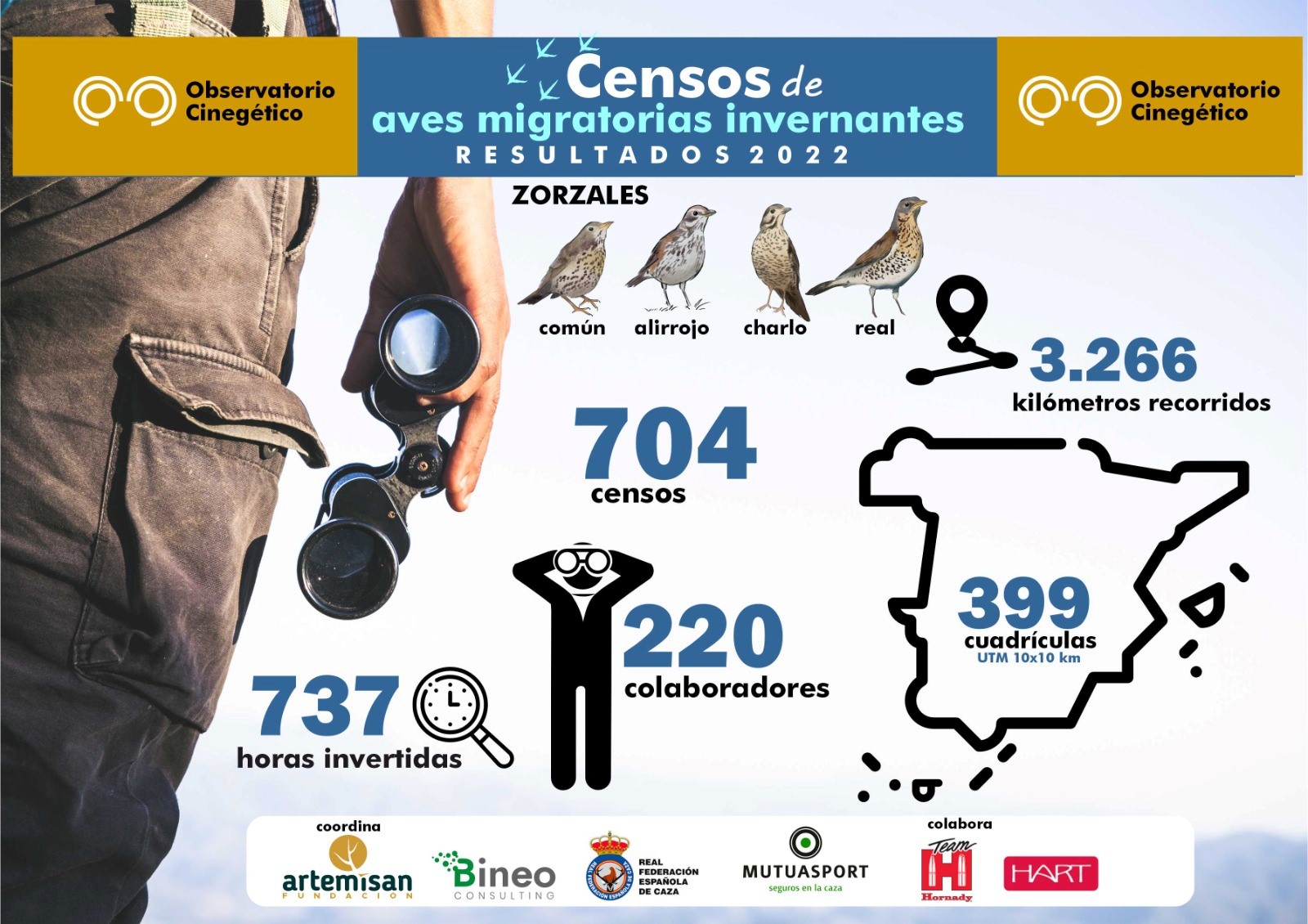 Los censos del Observatorio Cinegético de aves migratorias invernantes aumentan más de un 40 %