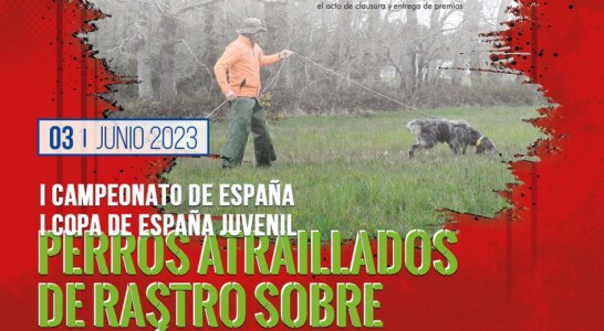 A Coruña albergará la primera edición del Campeonato de España de Perros Atraillados sobre Jabalí Salvaje