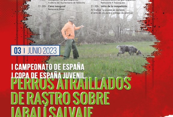 A Coruña albergará la primera edición del Campeonato de España de Perros Atraillados sobre Jabalí Salvaje