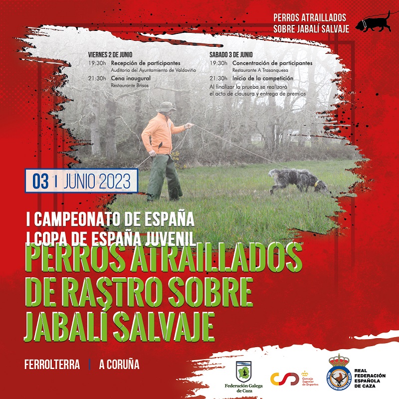 A Coruña albergará la primera edición del Campeonato de España de Perros Atraillados sobre Jabalí Salvaje