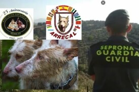 ¿ESTÁ EL SEPRONA CONTRA LAS REHALAS?