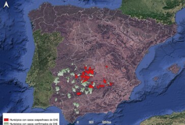 La Enfermedad Hemorrágica Epizoótica se expande y afecta ya a Andalucía, Extremadura y Castilla-La Mancha