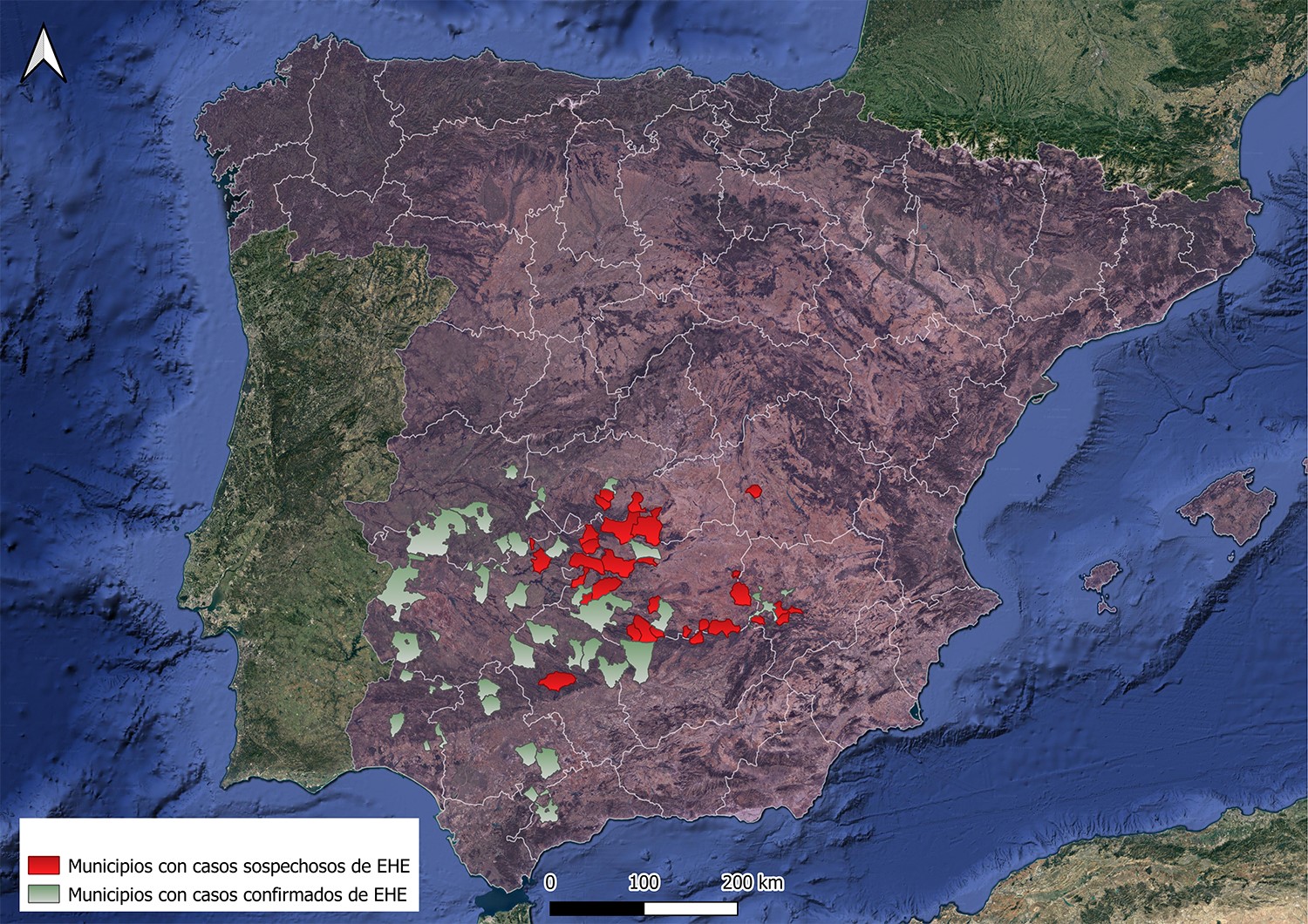 La Enfermedad Hemorrágica Epizoótica se expande y afecta ya a Andalucía, Extremadura y Castilla-La Mancha