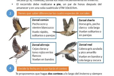 Nueva campaña de migratorias invernantes en el Observatorio Cinegético