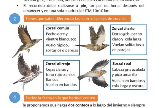 Nueva campaña de migratorias invernantes en el Observatorio Cinegético