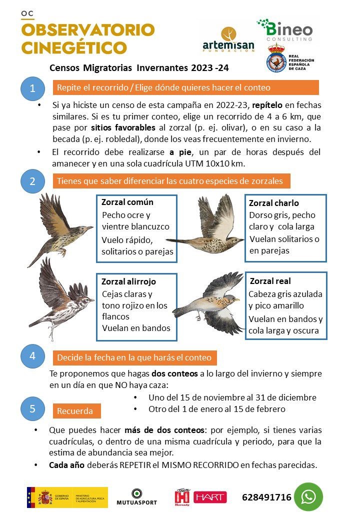 Nueva campaña de migratorias invernantes en el Observatorio Cinegético