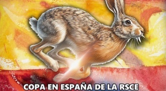 Vimianzo acoge la Copa en  España de la RSCE de Rastro sobre Liebre