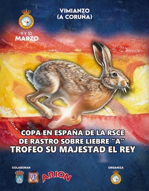 Vimianzo acoge la Copa en  España de la RSCE de Rastro sobre Liebre