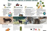 España suma evidencias de la amenaza de los gatos domésticos en el medio natural con un estudio en zonas Red Natura 2000