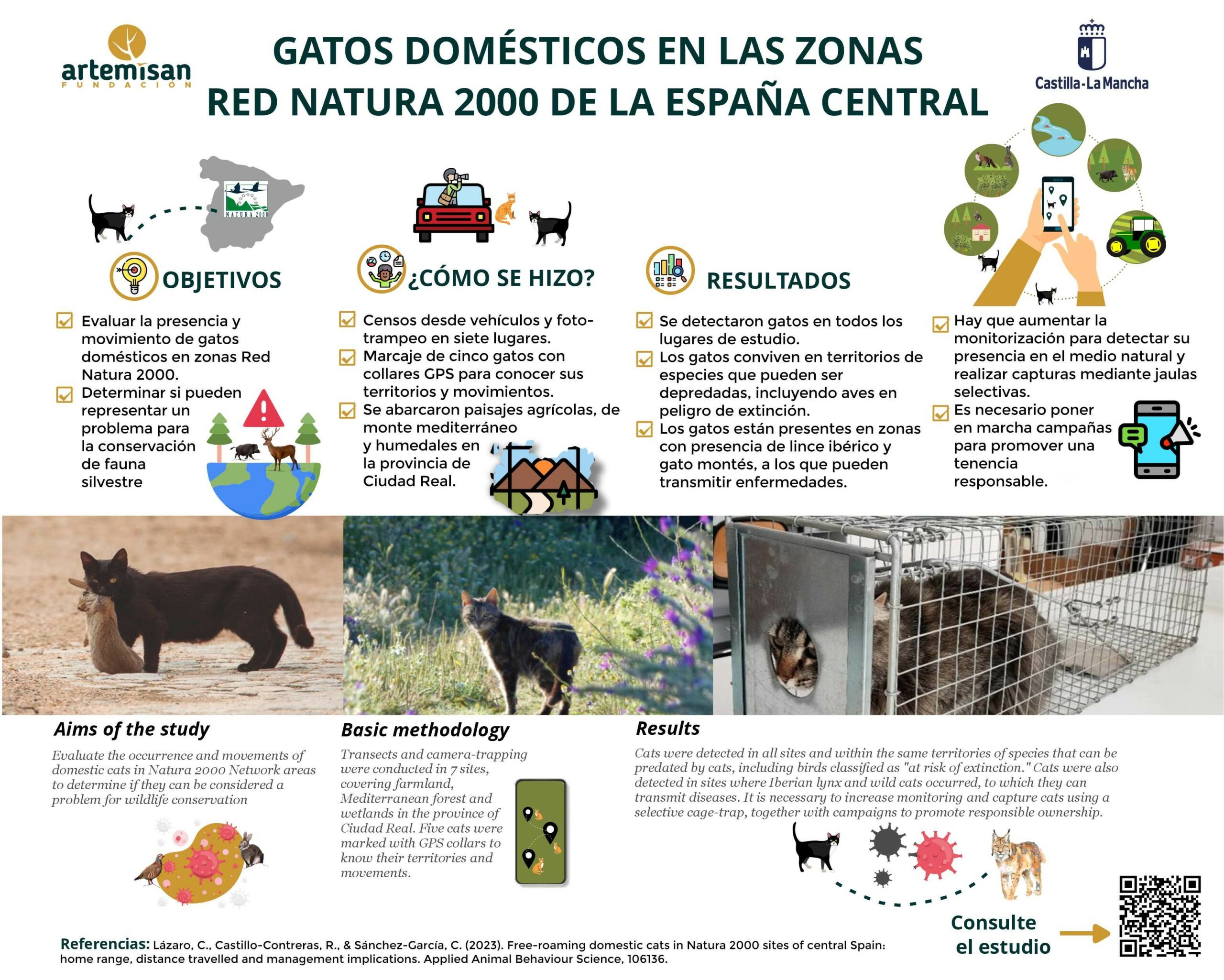 España suma evidencias de la amenaza de los gatos domésticos en el medio natural con un estudio en zonas Red Natura 2000