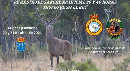 Palencia acogerá la XIV Copa en España  de la RSCE de Rastro de Sangre Artificial de 20 y 40 horas