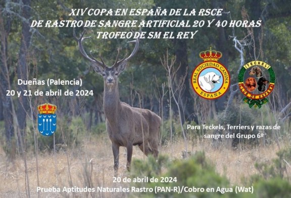 Palencia acogerá la XIV Copa en España  de la RSCE de Rastro de Sangre Artificial de 20 y 40 horas