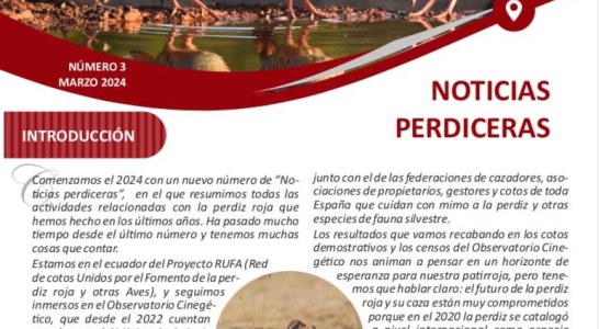 Nuevo boletín de ‘Noticias Perdiceras’ con la actualidad de la especie en los últimos años