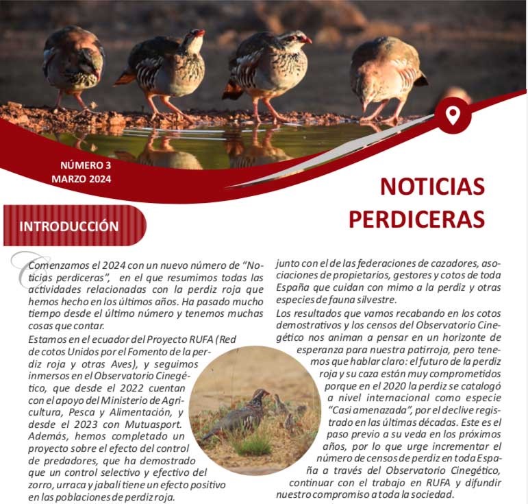 Nuevo boletín de ‘Noticias Perdiceras’ con la actualidad de la especie en los últimos años